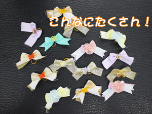 手作りリボンをモデル犬に☆